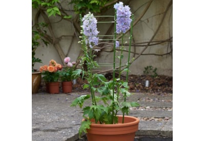 Gro-Cone 3-Ring - 75Cm Gro-Cone 3-Ring - 75Cm