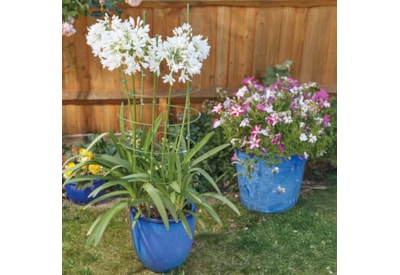 Gro-Cone 4-Ring - 90Cm Gro-Cone 4-Ring - 90Cm