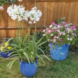 Gro-Cone 4-Ring  - 90Cm