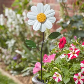 Smart Garden Daisyspinner