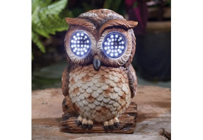 Blinkin' Owl Large Blinkin' Owl Large