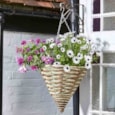 Smart Garden Trinity  Cone Hanging Basket 14" (6020116)