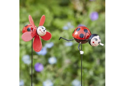 Loony Stakes Ladybugs Loony Stakes Ladybugs