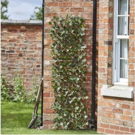 Smart Garden Maple Leaf Willow Trellis 180 x 60cm (5045081)