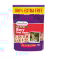 Gardman Seed & Mealworm Suet Treats Berry 1kg