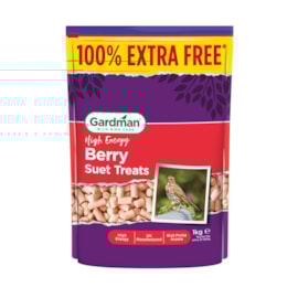 Gardman Seed & Mealworm Suet Treats Berry 1kg