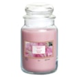 Prices Petali Candle Jar Rose Large Prices Petali Candle Jar Rose Large