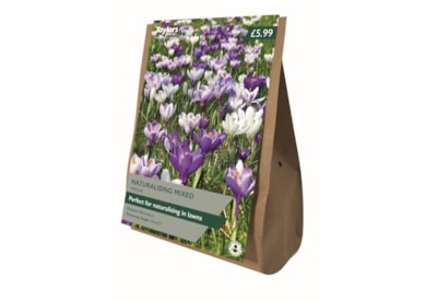 Taylors Crocus Naturalising Mixed 18's Taylors Crocus Naturalising Mixed 18's