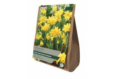 Taylors Tete/tete Narcissi 40s Taylors Tete/tete Narcissi 40s