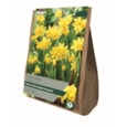 Taylors Tete/tete Narcissi 40s