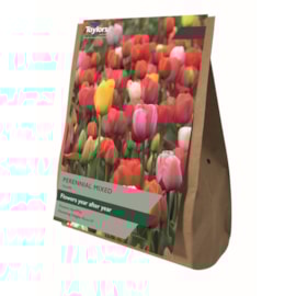 Taylors Tulip Perennial Mixed 15's