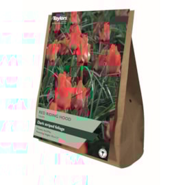 Taylors Red Riding Hood Tulips 25s Taylors Red Riding Hood Tulips 25s