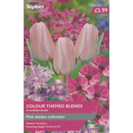 Taylors Pink Shades Collection 40s (AV403)
