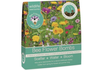 G Plants Bee Friends Seed Bomb Bee G Plants Bee Friends Seed Bomb Bee