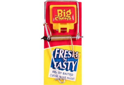 Big Cheese Fresh Baited Mouse Trap Big Cheese Fresh Baited Mouse Trap