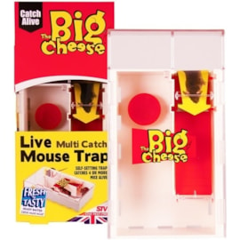 Big Cheese Multi-catch Mouse (STV162)