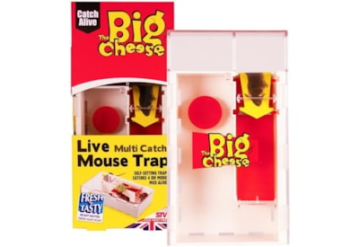 Big Cheese Multi-catch Mouse (STV162)