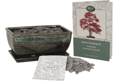 Bees Bonsai Growing Kit Sweet Gum Bees Bonsai Growing Kit Sweet Gum