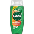 Radox Shower Mens Feel Refreshed Pmp £1.25 225ml (C007338)