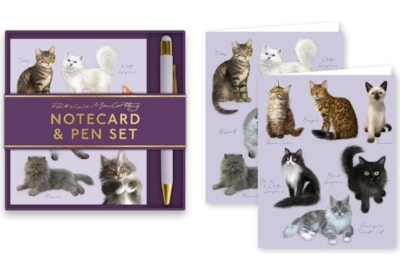 Cats Notecard & Pen Set (RFS13296)