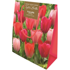 Double Tulips Jute Gift Bag (CB35)