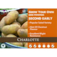 Charlotte Seed Potato 2kg (VAC440)