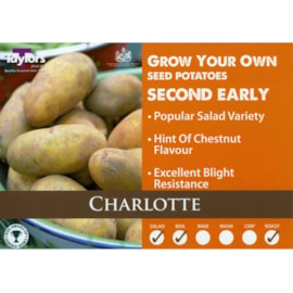 Charlotte Seed Potato 2kg (VAC440)