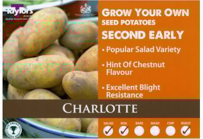 Taylors Charlotte Seed Potato 2kg Taylors Charlotte Seed Potato 2kg