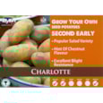 Taylors Charlotte Seed Potato 2kg