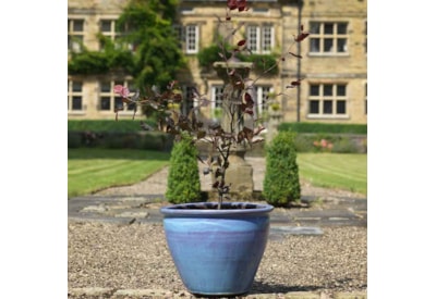 Conservatory Pot Mist Medium 30cm Conservatory Pot Mist Medium 30cm