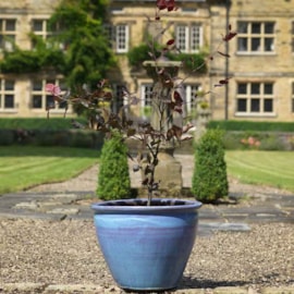 Conservatory Pot Mist Large 38cm Conservatory Pot Mist Large 38cm