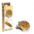 Eugy Desert Spadefoot Toad 3d Craft Set Eugy Desert Spadefoot Toad 3d Craft Set