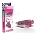Eugy Asian Arowana 3d Craft Set Eugy Asian Arowana 3d Craft Set