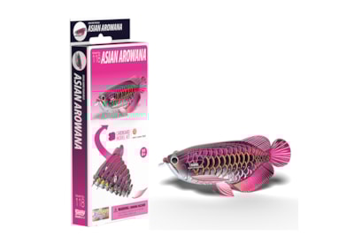 Eugy Asian Arowana 3d Craft Set Eugy Asian Arowana 3d Craft Set