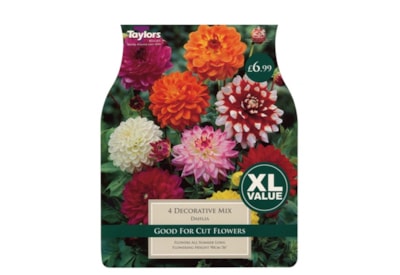 Taylors Dahlia Cactus Mixed Taylors Dahlia Cactus Mixed