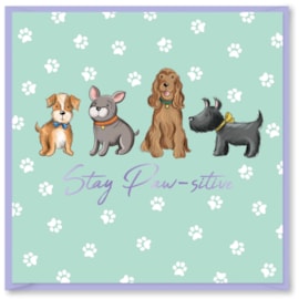 Pawsome Pals Stay Paw-sitive Card (DBV-238-SC413)