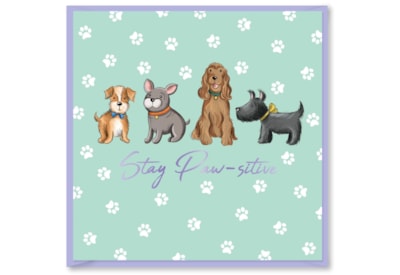 Pawsome Pals Stay Paw-sitive Card (DBV-238-SC413)