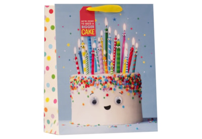 Cake Carnival Large Bag Cake Carnival Large Bag