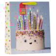 Cake Carnival Large Bag