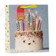 Cake Carnival  Medium Bag