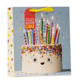 Cake Carnival  Medium Bag