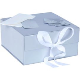 Violet Silver Foil Gift Box Medium (DBV-SVR-MLB)