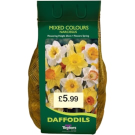 Taylors Narcissus Mix 1.5kg Taylors Narcissus Mix 1.5kg