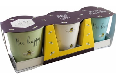 David Mason Design Bee Happy 3pce Pots With Tray (DD0988A01)