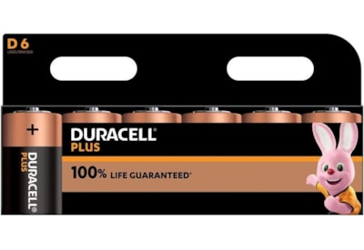 Duracell 100% D Batteries 6s (MN1300B6PLUS)