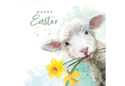 Ling Easter Multi Pack Easter Lamb Ling Easter Multi Pack Easter Lamb