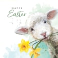 Ling Easter Multi Pack  Easter Lamb