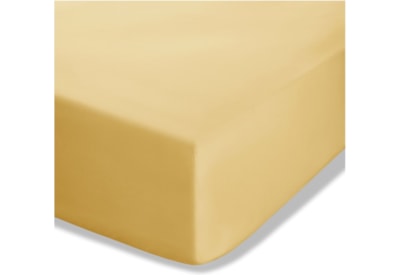 Fitted Percale Sheet Ochre S/king