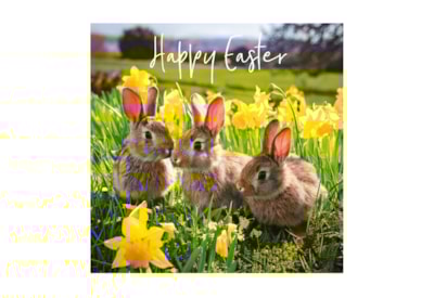 Ling Easter Bunnies Ling Easter Bunnies