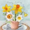 Ling Daffodils On Table Easter Card Ling Daffodils On Table Easter Card